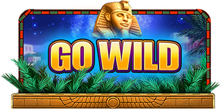 Go wild