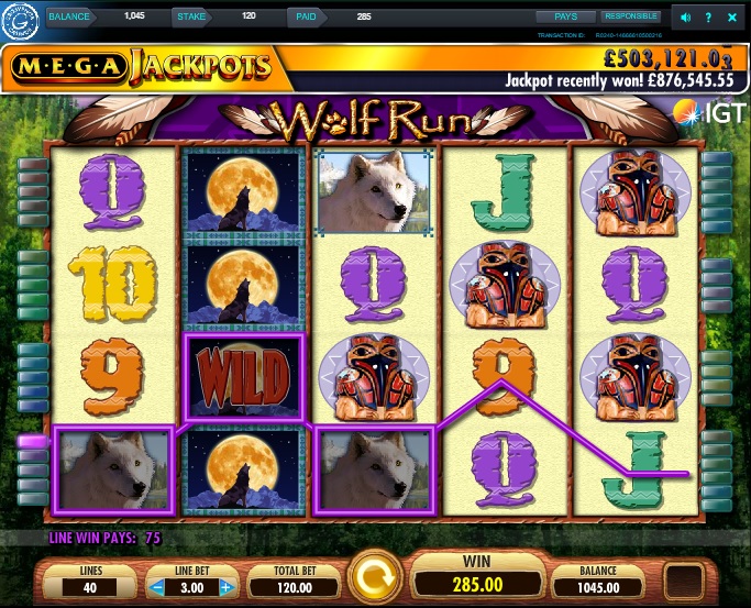 Wolf Run Wild Win