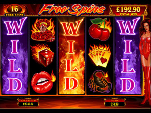 Slots Features Wilds