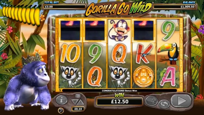 Gorilla Go Wild Normal Win
