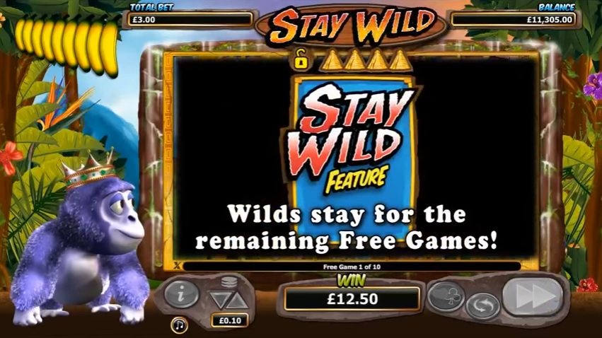 Gorilla Go Wild Stay Wild Feature