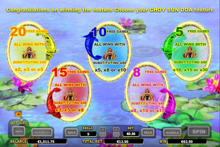 Choy Sun Doa Choosing Features