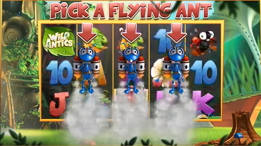 Wild Antics Pick an Ant