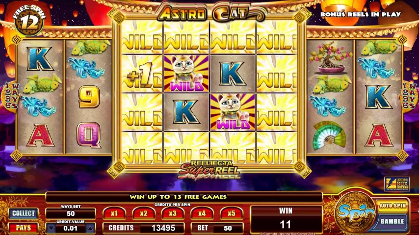 Astro Cat Super Reels Wilds