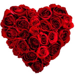 love heart roses