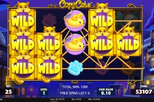 copycats wild feature