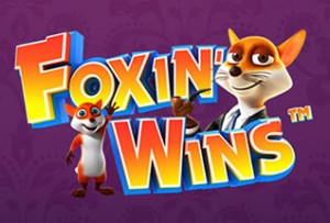 foxin wins slot fox pup mascot