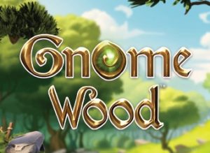 gnome wood slot