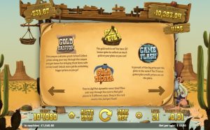 Gold Rush Features Info