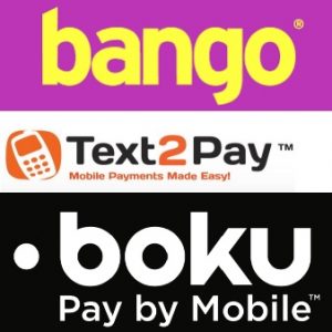 pay by sms methods us